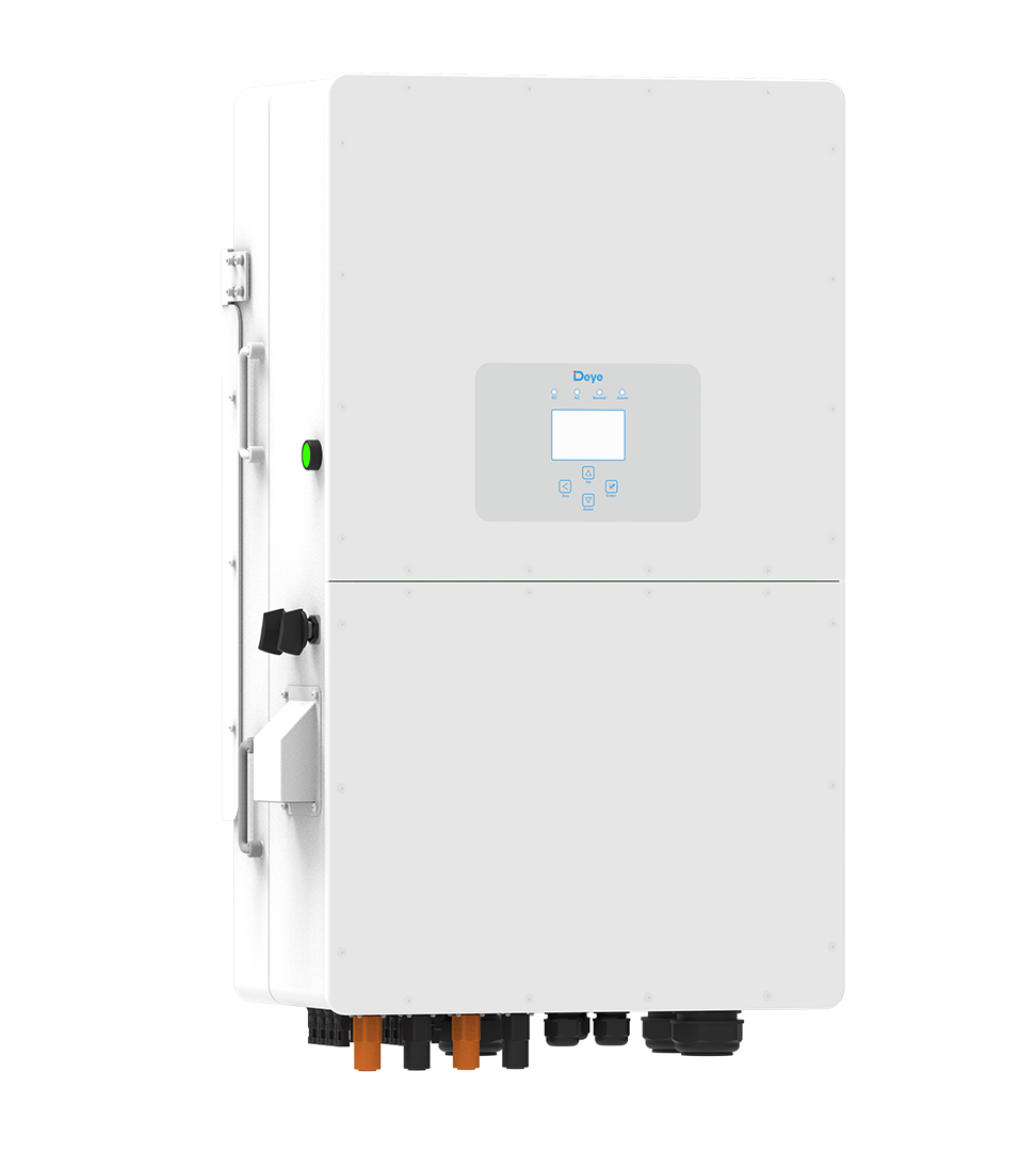 Deye Inverter creëert een groene toekomst met India